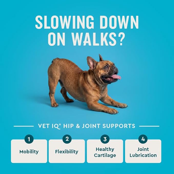 VetIQ Glucosamine Hip & Joint Supplement for Dogs, 180 Soft Chews, Joint Support Supplement with MSM and Krill, Dog Health Supplies Large & Small Breed, Chicken Flavored Chewables | Supports mobility for large & small breeds; glucosamine, MSM & krill o...