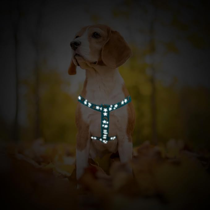 PUPTECK No Pull Dog Harness Small Sized Step-in Adjustable Puppy Vest | Soft Webbing Basic Halter with ID Tag for Outdoor Walking