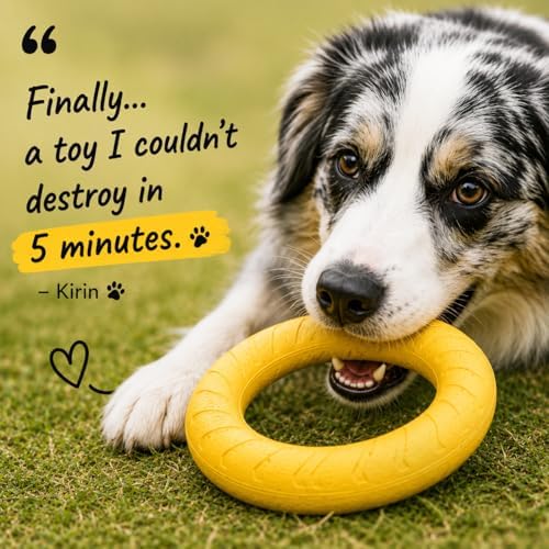 Dog Ring Frisbee Toy EVA Foam Fetch Chew Tug Toy for All Breeds (Purple, Large)