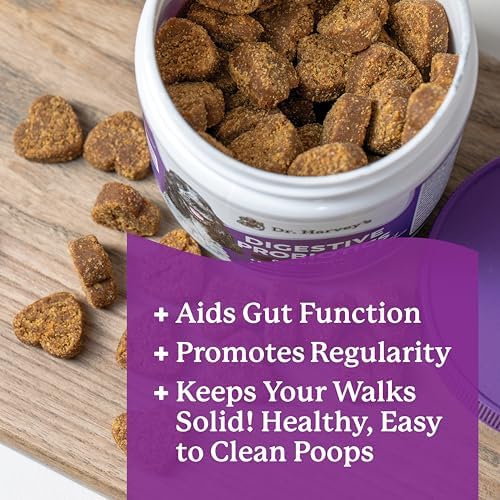Dr. Harvey's Digestive Probiotic Soft Chews for Dogs