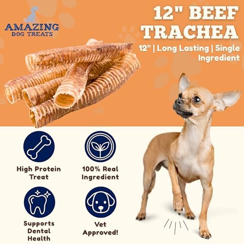 Amazing Dog Treats - 12 Inch Beef Trachea Chews for Dogs (10 pcs/pk) - 100% Natural Trachea Dog Treats - Excellent Source of Glucosamine - Natural Long Lasting Treats