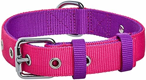 Blueberry Pet Iconic Color-Block Adjustable Dog Collar with Metal Buckle, Cerise and Dark Purple, Neck 13-16.5", for Medium Breed
