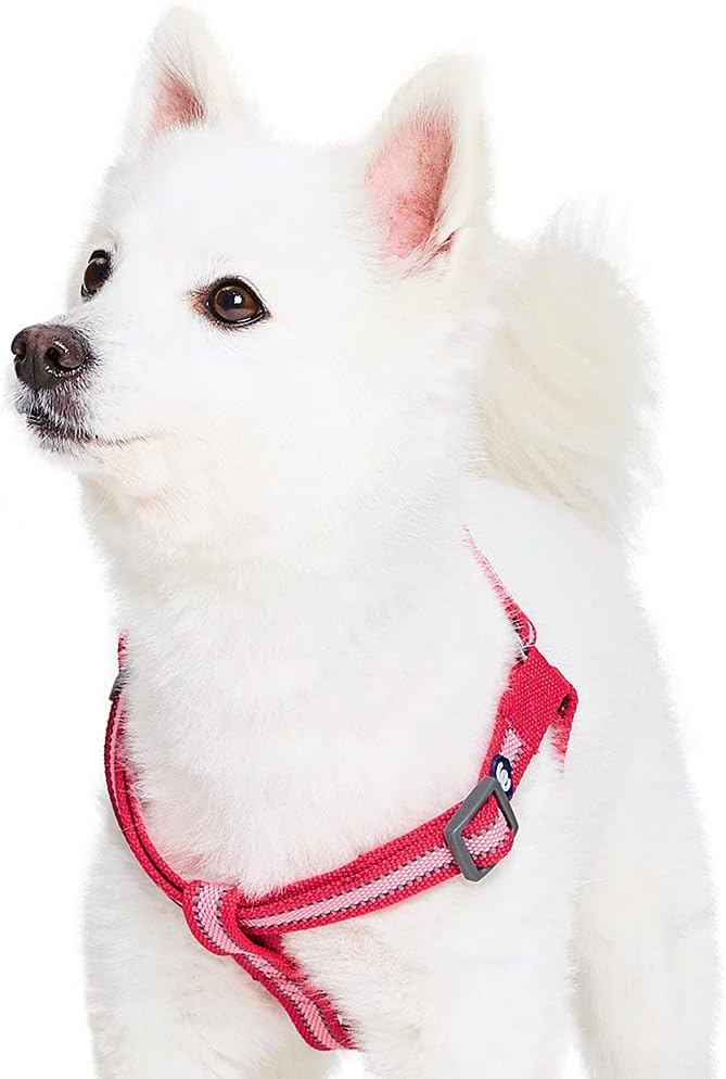 Blueberry Pet Essentials Step-in Reflective Back to Basics Dog Harness, French Pink, Chest Girth 16.5" - 21.5", Small, Adjustable Harnesses for Dogs