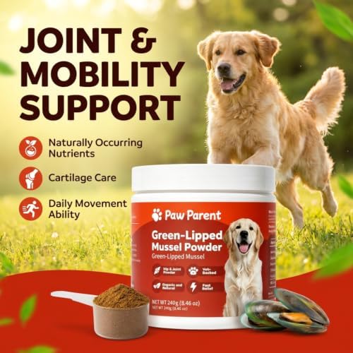 Paw Parent Green Lipped Mussel Secret Powder for Dogs Macho S Care (2pcs)