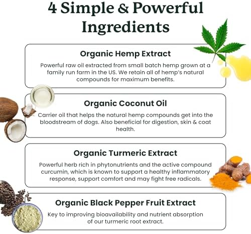 Lolahemp Mobility Drops for Dogs – Organic Hemp & Turmeric – Whole-Body Mobility, Hip & Joint, and Everyday Comfort