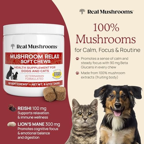 Calming Chews for Dogs & Cats, 60-Pack, 1 Chew