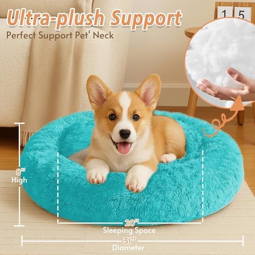 JOLLYVOGUE 31" Calming Donut Dog Bed, Aqua Blue