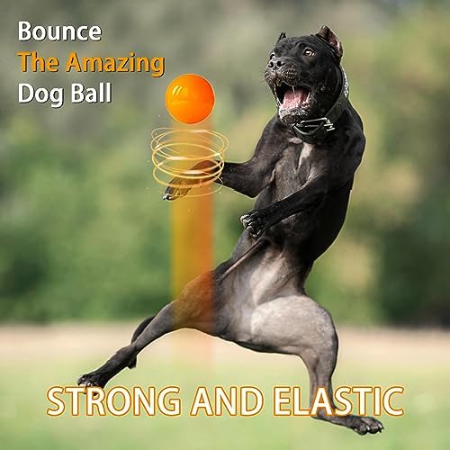 Indestructible Dog Toys, Solid Rubber Balls, Medium & Large Dogs