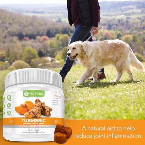 Turmeric for Dogs, Organic Curcumin Soft Chews, 60 Count