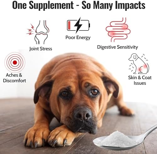 Pure MSM Crystals for Dogs | Organic Sulfur | Joints, Skin, Coat | 2 Pack