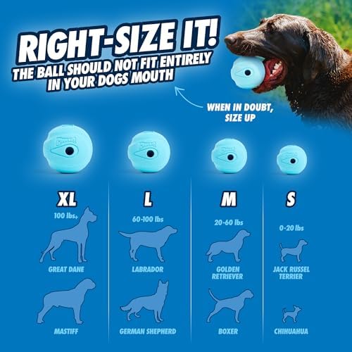 Chuckit! The Whistler Ball Dog Toy, Small (2 Inch Diameter) for Dogs 0-20 lbs, Pack of 2