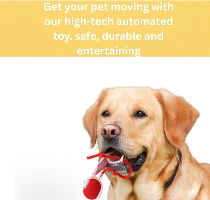 Interactive Cat Toy Ball – Automatic Self-Moving, Motion-Activated, USB-Rechargeable, Quiet LED Chase Modes, Indoor Exercise & Enrichment for Bored Cats & Kittens