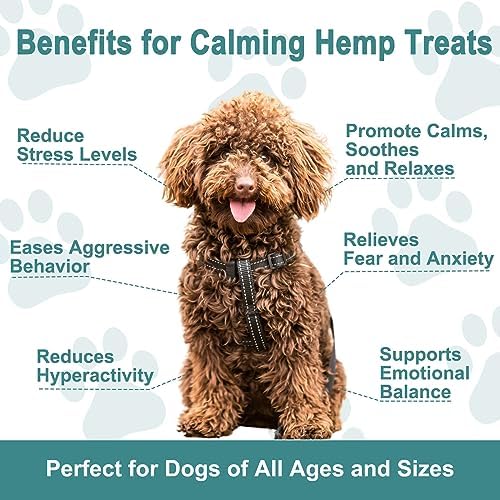 Hemp Calming Chews for Dogs, Chicken
