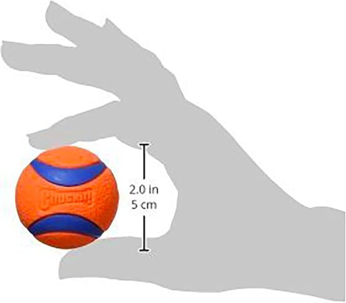 Chuckit! Ultra Ball Dog Toy, Balls for Dogs to Fetch, Durable Rubber, Small 2-inch (Pack of 24)
