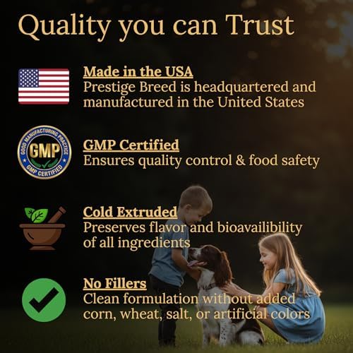 Springer Spaniel Multivitamins, 90 Count, Made in the USA with Real Bacon.