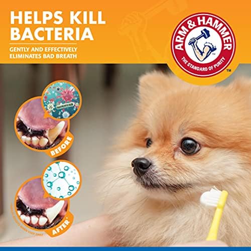 Combo Pack: Arm & Hammer Dog Dental Tartar Control Water Additive and Fresh Breath Vanilla Ginger Enzymatic Toothpaste