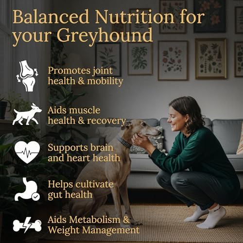 Greyhound Multivitamins, 90 Count, Made in the USA with Real Bacon.