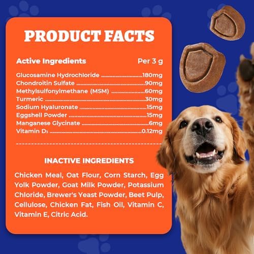 Wellix Dog Hip and Joint Supplement 9.17oz, with Glucosamine Chondroitin