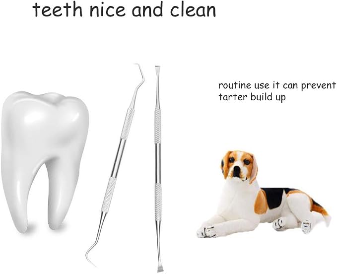 Dog Teeth Cleaning Tools Tarter Remover Canine Dental Scraper Scaler Tools Pet Tooth Cleaner Stainless Steel with Double Head
