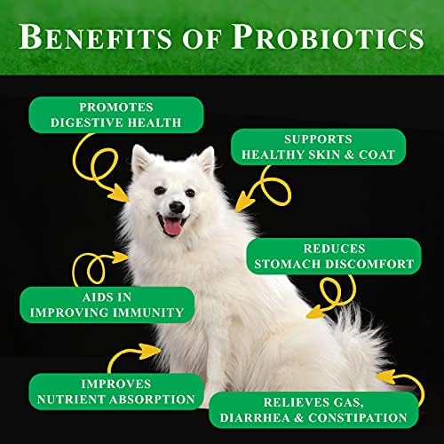 Probiotic Soft Chews for Dogs, 90 Count, Chicken Flavor