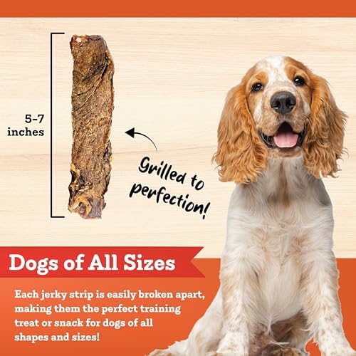 Colorado Naturals Salmon Jerky Strips Dog Treats, 16 oz – All-Natural, Made in USA, No Fillers or Preservatives – Wild Alaskan Caught, Rich with Omega-3