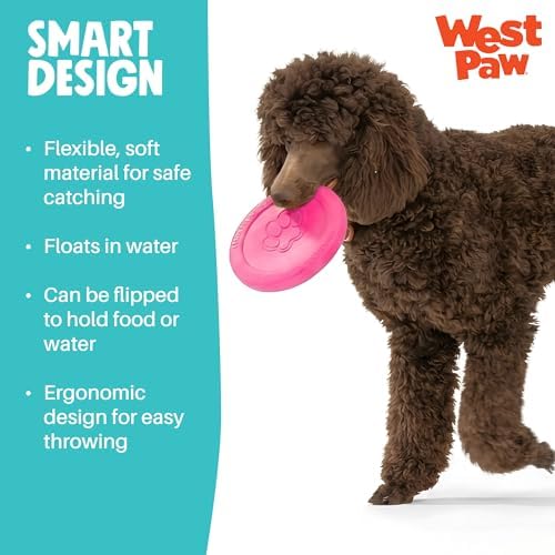 WEST PAW Zogoflex Zisc Dog Flying Disc, High Flying Aerodynamic Disc for Dogs Puppy – Lightweight, Floatable Disc for Fetch, Tug of War, Catch, Play – Doubles as Food/Water Bowl, Large 8.5", Teal