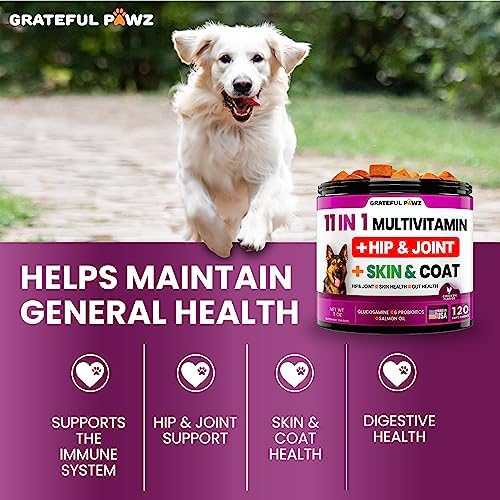 Dog Multivitamin Chewable with Glucosamine - Dog Vitamins and Supplements | Senior & Puppy Multivitamin for Dogs - Pet Chondroitin Hip and Joint Support Health, Immune Booster, Skin, Heart, Probiotics