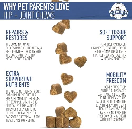 Strawfield Pets Hip + Joint Chews for Dogs Advanced Dog Joint Supplement with Glucosamine Tasty Healthy Mobility Treats Bacon Flavor 120 Chews