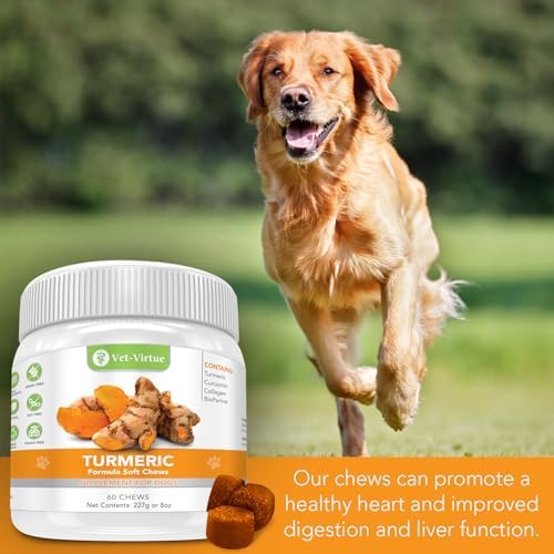 Turmeric for Dogs, Organic Curcumin Soft Chews, 60 Count