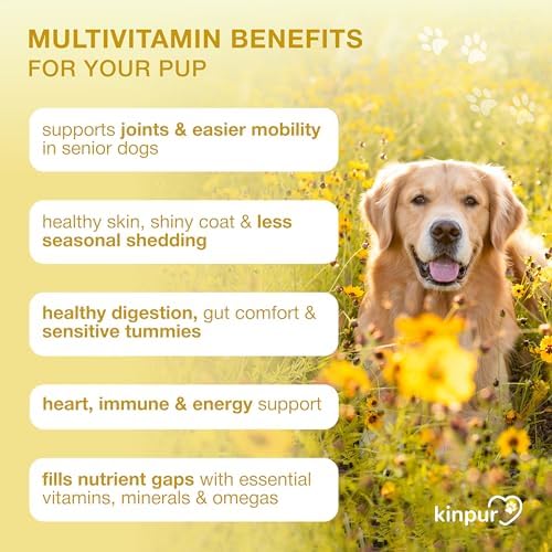 20 in 1 Multivitamin for Dogs - Immune Dog Supplements, 180 Soft Duck Chews | Vitamins for dogs with Glucosamine - Digestive, Skin & Coat Support, Probiotics, Joint Health - Puppy to Senior, All Breeds