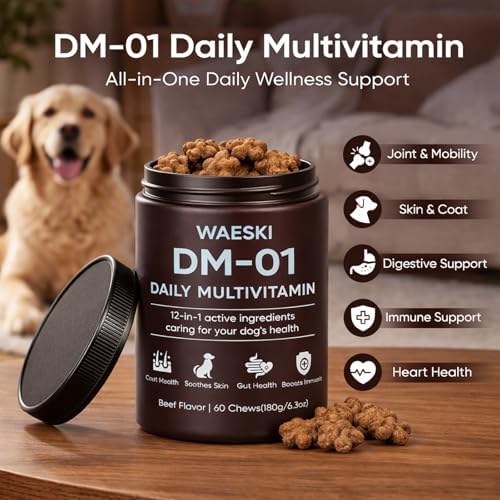 DM-01 Daily Multivitamin for Dogs, 12-in-1 Soft Chews with Salmon Oil, Probiotics, Chondroitin & Vitamins, Skin & Coat, Gut, Hip & Joint and Immune Support, Beef Flavor, 60 Chews