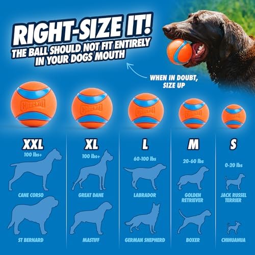 Chuckit! Ultra Ball Dog Toy - Size Large - for Dogs 60-100 lbs - Made from Durable Rubber - Super Bouncy - Floats in Water - 3-inch Diameter - Large (Pack of 12)
