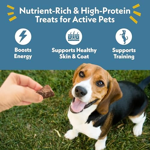 Fresh Is Best Duck Heart Freeze Dried Dog Treats – High-Protein Bites