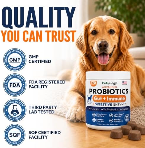 (2 Pack) Probiotics for Dogs - 340 Dog Probiotics Chews - Digestive Enzymes