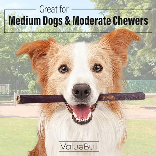 ValueBull Beef Collagen Sticks for Dogs, 12 Inch Medium Chew, 75 Count