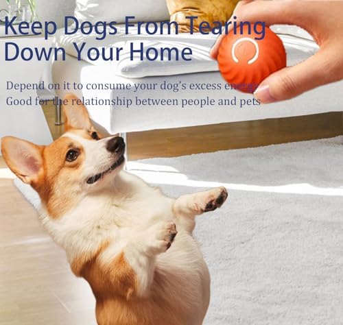 Smart Interactive Dog Toys Ball,Replaceable, Rechargeable,Motion Activated Automatic Rolling Ball Toys for Small/Medium Dog and Puppy Cat,Fun Gift for Boredom