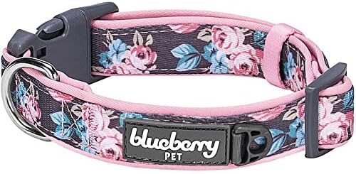Blueberry Pet Floral Prints Neoprene Padded Dog Collar, Pink Rose, Adjustable Dog Collar for Small Dogs, Size Small, Neck 12-16”