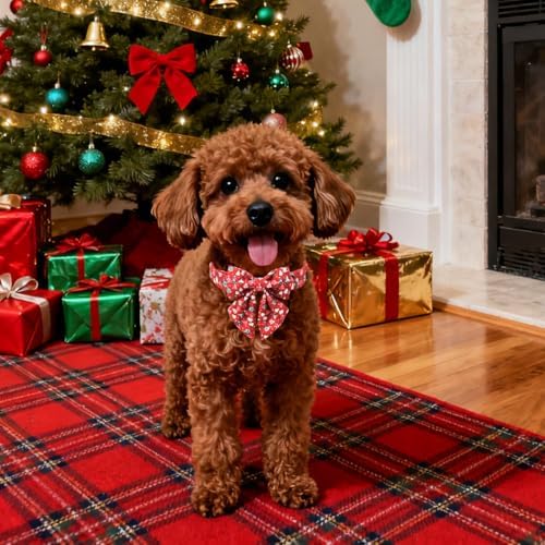 Lionet Paws Christmas Dog Collar with Sailor Bow, Cute Christmas Tree Red Dog Collar Bow Tie for Puppies and Cats, XS, Neck 8-12 inches