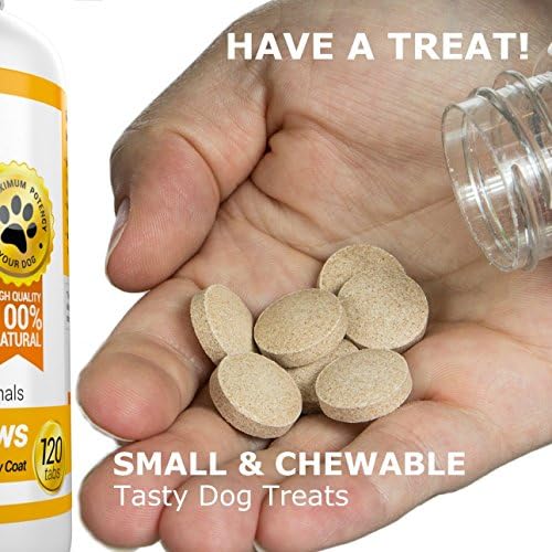 Amazing Combo Omega-3 Fish Oil and Probiotics for Dogs - Pure All-Natural Pet Antioxidant - Promotes Shiny Coat, Brain Health, Eliminates Diarrhea Gas and Joint Pain, 120 Tasty Chews x 2