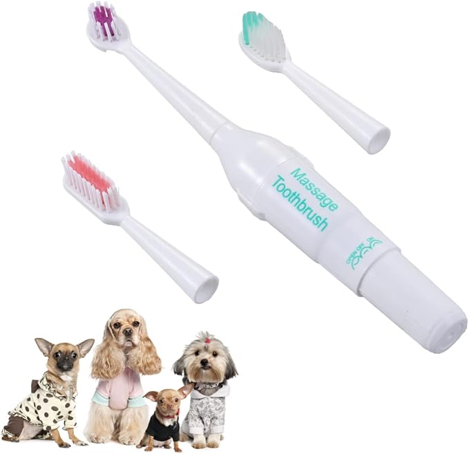 BESPORTBLE 3pc Pet Electric Toothbrush Dog Teeth Cleaning Sonic Electric Brush Portable for Travel Random Color