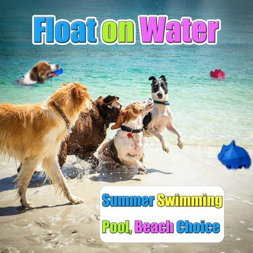Latex Squeaky Dog Toys for Small & Medium Dogs 2-Pack, 3.9x2.5x2.5'' | Soft Rubber, Lightweight, Float On Water, Reduce Boredom, Fun Fetch, Chase, Puppy Indoor Outdoor Playing