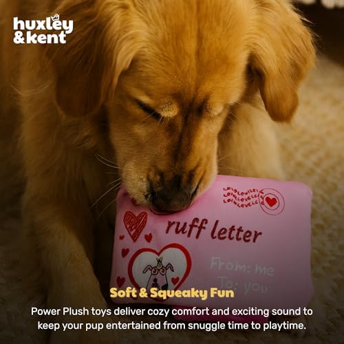 Huxley & Kent Seek 'n Treat Puzzle Dog Toy, Letter | Hidden Treat Pocket, Crinkle & Squeaker; Reinforced Seams & Mesh; Soft, Durable & Machine Washable