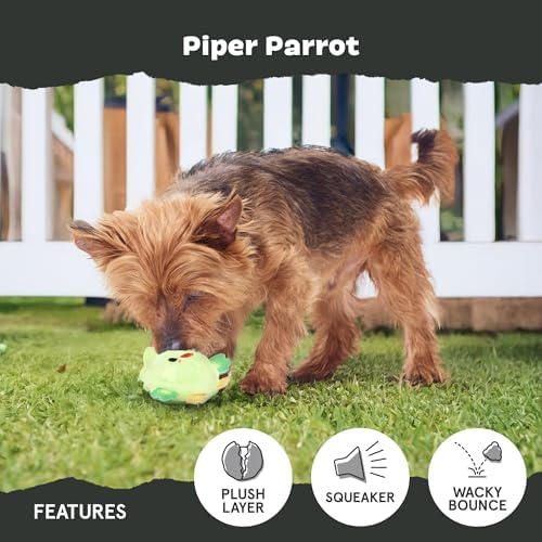 BarkBox Piper Parrot Dog Toy - for Small Dogs | Perfect for Flipping Fun and Tearable Outer Layer with Bonus Toy Inside for Extra Playtime Excitement