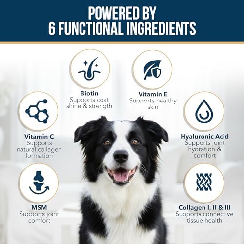 Liquid Collagen for Dogs - Dog Collagen Drops for Dogs, Supports Joints, Skin, Coat, Bones and Itch Relief for Dog, 6 in 1 Formula, 3 Types Collagens, Biotin, Vitamin C, Vitamin E and Hyaluronic Acid