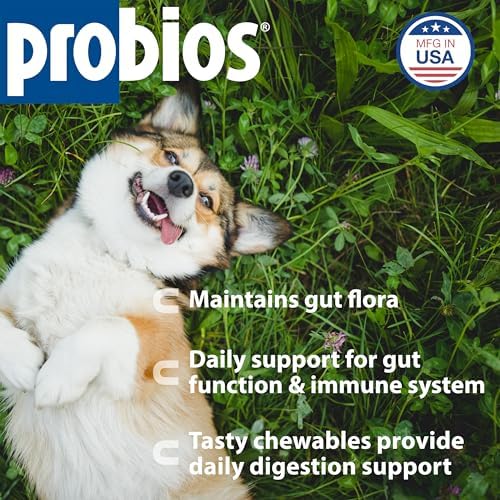 Probios Digestive Support Dog Chewables, 1 lb, 2-Pack