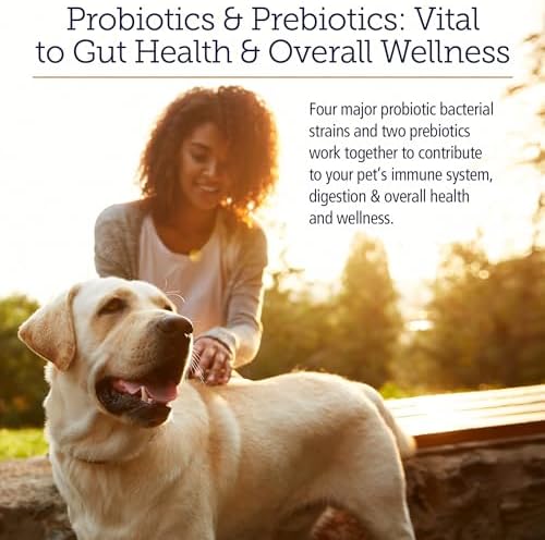 Rx Vitamins Rx Biotic - Probiotic Powder for Dogs and Cats - 2.12oz