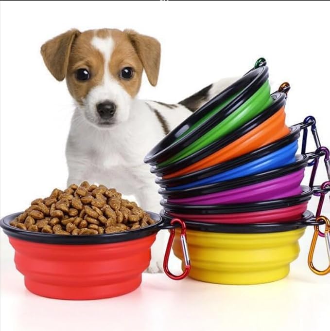 Collapsible Pet Bowl Set with Carabiner Clip, Purple & Pink