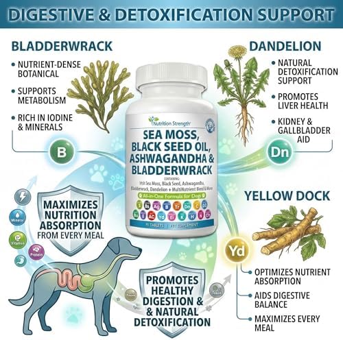Sea Moss for Dogs | Daily Vitality & Allergy Relief