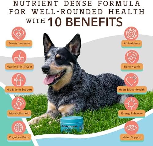 Natural Dog Company Everyday Itch Relief Bundle, Includes (1) Multivitamin Supplement Chews -90 pcs and (1) Skin and Coat Oil Food Topper-16 oz., Vitamins for dogs, Itch relief, Skin and Coat suppleme