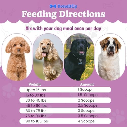 BoneItUp Dog Bone Broth Powder - Made with Real Beef & Chicken, Nutritious & Hydrating Dog Bone Broth Topper for Picky Eaters - Healthy Joints, Coat, Digestion Support (30 Servings)